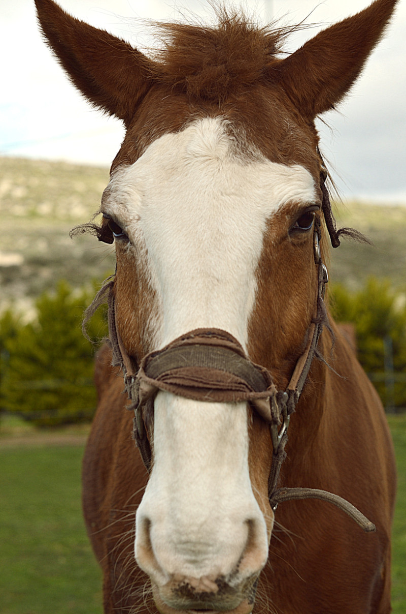 DSC_4808